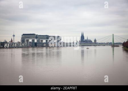 Hochwasser des Rheins am 5th. Februar. 2021, Blick über die überflutete Wiese im Ortsteil Deutz zum Rheinauer Hafen mit den Kranichhäusern und zu Stockfoto