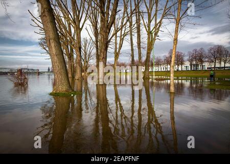 Hochwasser des Rheins am 5th. Februar. 2021, die überflutete Wiese im Bezirk Poll, Blick auf die Südbrücke und den Dom, Köln, Deutschland. Stockfoto