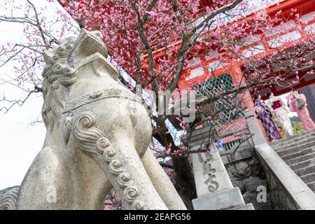 Kyoto Japan Löwenhund-Wächter vor dem Deva-Tor am Kiyomizu dera Temple unter Blüten. Frauen im traditionellen Kimono gehen durch. Stockfoto