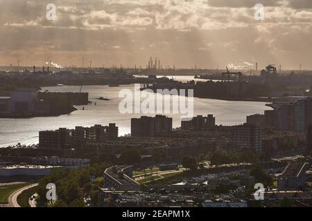 Rotterdamer Hafen Dämmerung Panorma vom Euromast Stockfoto