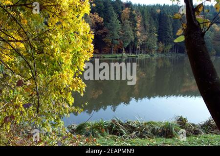 Herbststimmung, Herbst Beuerbach Stockfoto