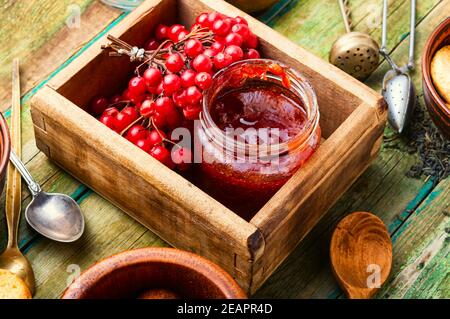 Viburnum Obstmarmelade in einem Glas Stockfoto