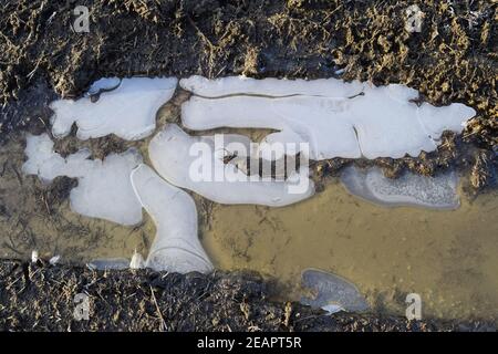 Eis auf einem schlammigen Pfütze auf einem Feldweg Stockfoto