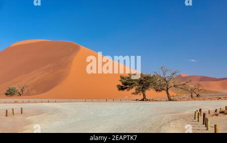 Düne 45 in Sossusvlei, Namibia Wüste Stockfoto