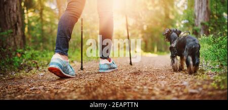 Junge Frau wandern und Camping gehen in der Natur. Person mit Hund beim Wandern und Laufen im Wald Stockfoto