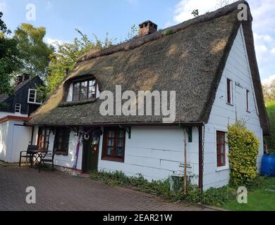 Reetdachhaus, Haus, Niedersachsen, Altes Haus Stockfoto