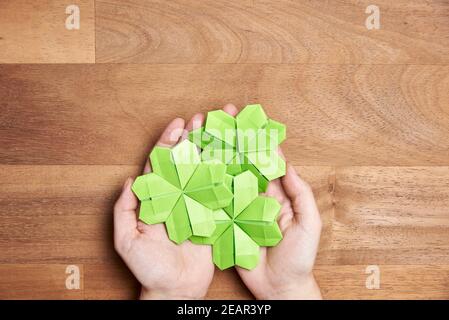 Die Hände einer jungen Frau halten drei Origami-Kleeblätter aus hellgrünem Papier auf einem hölzernen Hintergrund. Konzepte von Glück und St. Patrick's Day. Bild Stockfoto