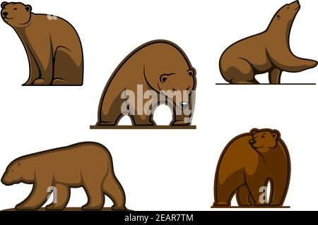 Braune farbige Cartoon Bär Zeichen isoliert auf weiß für die Tierwelt Und Sport Team Maskottchen Design Stock Vektor