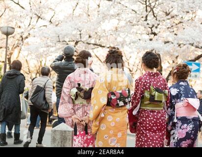 Kyoto Japan Frauen in traditionellen Kimonos auf Shirakawa-minami dori im Gion-Distrikt wandern unter den Kirschblüten (Sakura). Stockfoto
