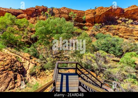 Treppen am Kings Canyon führen hinunter zum Garden of Eden, Watarrka National Park, Northern Territory. Luftige, zerklüftete Landschaft, roter Sandstein, Gummibäume Stockfoto