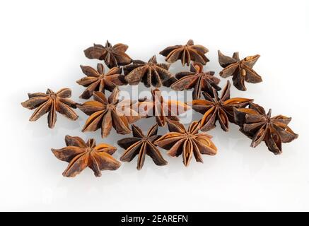 Sternanis, Illicium verum Stockfoto