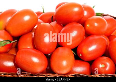Pflaumentomate, Pflaumen-Buschtomate, Ravello, Lycopersicon, esculentum Stockfoto
