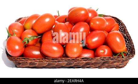 Pflaumentomate, Pflaumen-Buschtomate, Ravello, Lycopersicon, esculentum Stockfoto