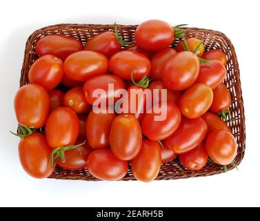 Pflaumentomate, Pflaumen-Buschtomate, Ravello, Lycopersicon, esculentum Stockfoto