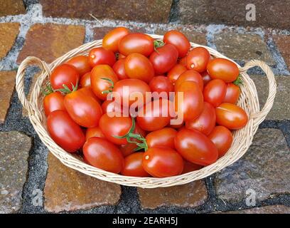 Pflaumentomate, Pflaumen-Buschtomate, Ravello, Lycopersicon, esculentum Stockfoto