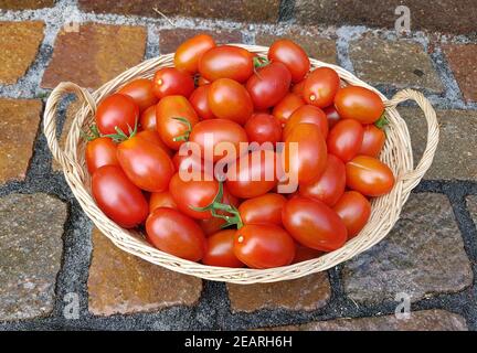 Pflaumentomate, Pflaumen-Buschtomate, Ravello, Lycopersicon, esculentum Stockfoto
