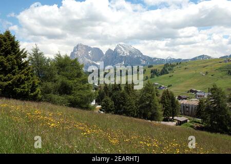 Plattkofels, Langkofel, Seiser, Alm, S Stockfoto