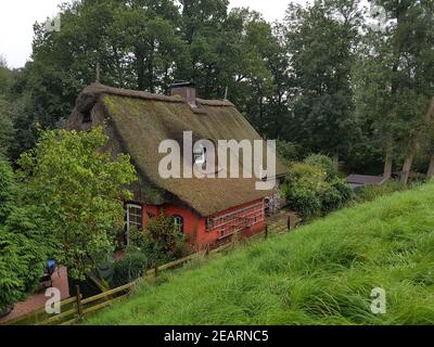 Reetdachhaus, Haus, Niedersachsen, Altes Haus Stockfoto