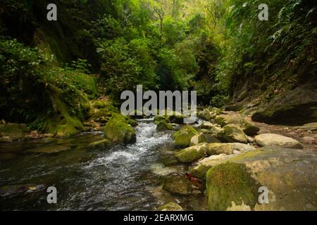 Fluss bei 'Puente de Dios'Queretaro-Mexiko Stockfoto