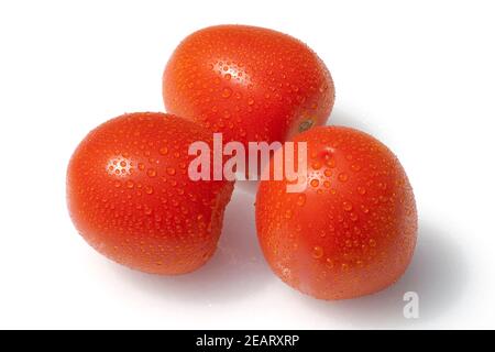 Roma-Tomaten, Romatomaten, Lycopersicon Esculentum; Stockfoto