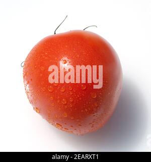 Roma-Tomaten, Romatomaten, Lycopersicon Esculentum; Stockfoto