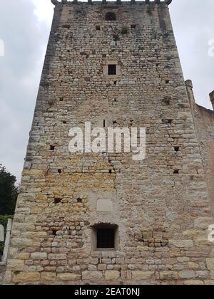 Burg, Scaligeri, Torri del Benaco Stockfoto