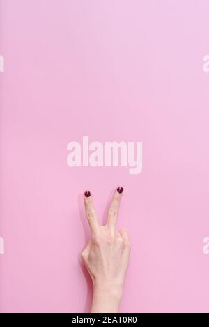 Hände einer weißen kaukasischen Frau, die Finger zum Zählen zeigt Zwei auf einem rosa Hintergrund Stockfoto