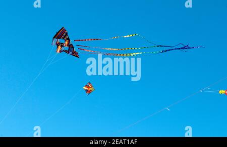 Drachen, Flugdrachen, Strand, Sankt Peter-Ording Stockfoto