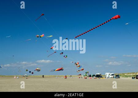 Appartementblocks, Grossdrachen, Winddrachen Stockfoto