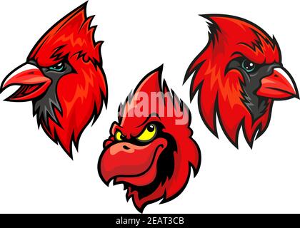 Cartoon Maskottchen der Kardinal Vogelköpfe in verschiedenen Verkürzung für Sportverein- oder Teamdesign Stock Vektor