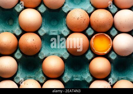 Rohe Hühnereier in türkisfarbener Eierbox. Stockfoto