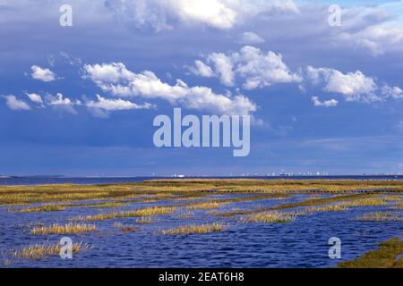 Wattenmeer; Biosphaerenreservat; Dietmarschen; Stockfoto