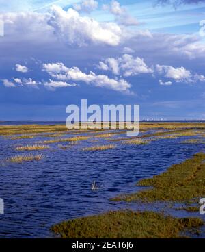 Wattenmeer; Biosphaerenreservat; Dietmarschen; Stockfoto