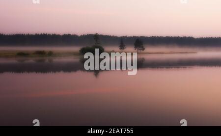 Nebel über dem Teich. Morgennebel über dem Teich. Stockfoto