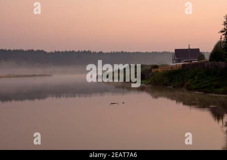 Nebel über dem Teich. Morgennebel über dem Teich. Stockfoto