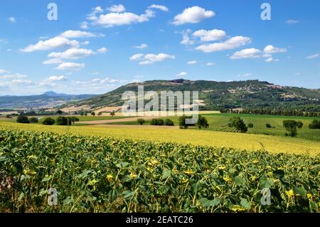 Schöne Aussicht auf eine Ebene mit landwirtschaftlichem Sonnenblumenanbau und Ein vulkanischer Hügel Stockfoto