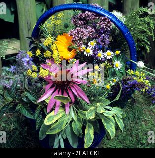 Kräuterkorb, Küchenkräuter, Heilpflanzen, Lavendel, Pfefferminze, Kapuzinerkresse, Boretsch, Origano, Muskatellersalbei, Salbei, Ysop, Ringelblume, Stockfoto