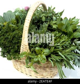 Küchenräuter im Korb, Heilpflanzen, Schnittlauch, Salbei, Basilikum, Petersilie, Pimpinelle, Boretsch, Estragon, Beifuss, Zitronenmelisse Stockfoto