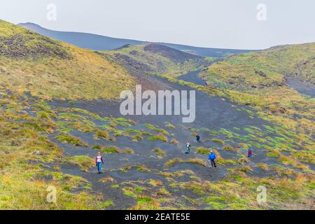 Wilde Vegetation blüht am Hang des ätna in Sizilien, Italien Stockfoto