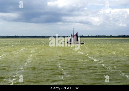 Zeesboot, Saaler Bodden Stockfoto