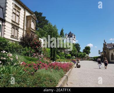 Burg Eltville, Deutschland, Eltville, Rhein Stockfoto