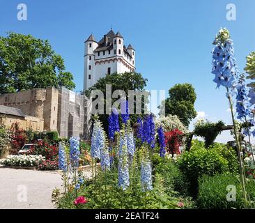 Burg Eltville, Deutschland, Eltville, Rhein Stockfoto