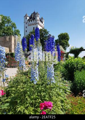 Burg Eltville, Deutschland, Eltville, Rhein Stockfoto