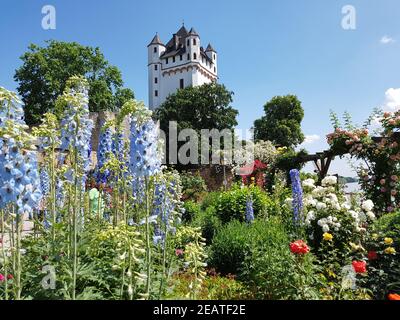 Burg Eltville, Deutschland, Eltville, Rhein Stockfoto