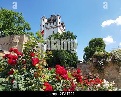 Burg Eltville, Deutschland, Eltville, Rhein Stockfoto