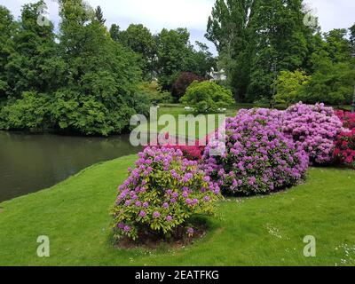 Kurpark, Wiesbaden Stockfoto