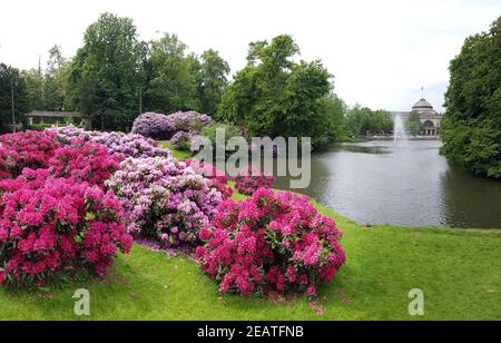 Kurpark, Wiesbaden Stockfoto