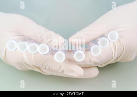 Wissenschaftler analysieren halten Reagenzglas im Labor Stockfoto