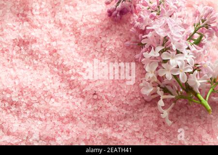 Lilafarbenes Badesalz und einige frische lilafarbene Blüten in rosa Farbe Stockfoto