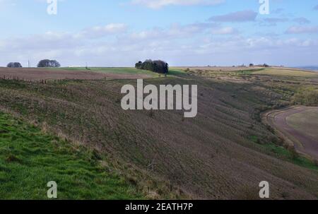 Blick auf den südlichen Rand des Pewsey Vale mit Copse Wooodand im Tal in der Nähe von Pewsey, Wiltshire, North Wessex Downs AONB Stockfoto